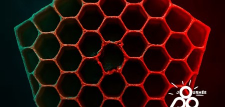 Préservation alvéolaire